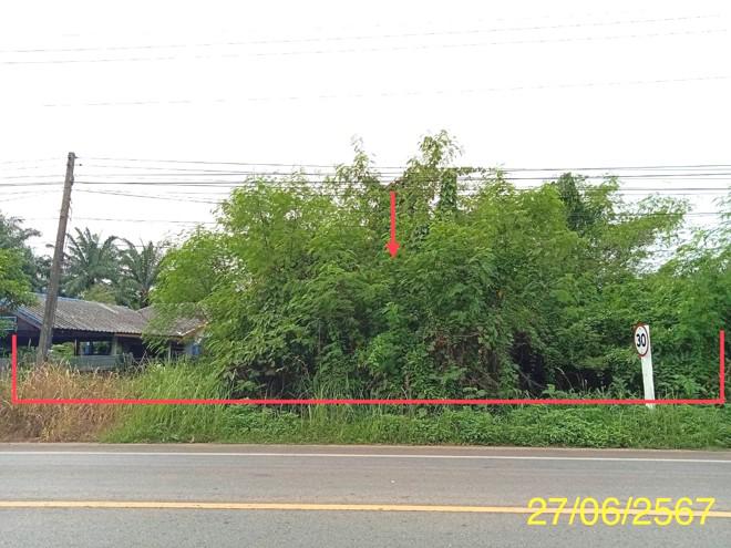 ที่ดินว่างเปล่าหลุดจำนอง ธ.ธนาคารกสิกรไทย กระบี่ ลำทับ ดินอุดม