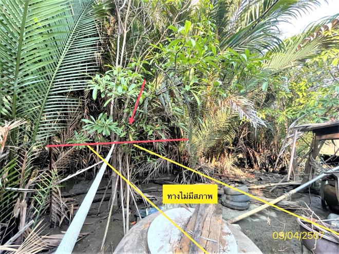 ที่ดินว่างเปล่าหลุดจำนอง ธ.ธนาคารกสิกรไทย สมุทรสาคร เมืองสมุทรสาคร บางหญ้าแพรก