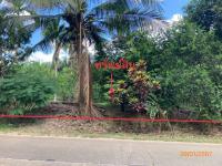 ที่ดินว่างเปล่าหลุดจำนอง ธ.ธนาคารกสิกรไทย สุราษฎร์ธานี พนม คลองศก