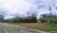 ที่ดินว่างเปล่าหลุดจำนอง ธ.ธนาคารกสิกรไทย เลย ท่าลี่ หนองผือ