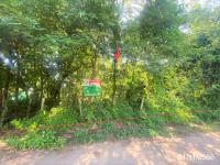 ที่ดินว่างเปล่าหลุดจำนอง ธ.ธนาคารกสิกรไทย หนองบัวลำภู ศรีบุญเรือง เมืองใหม่