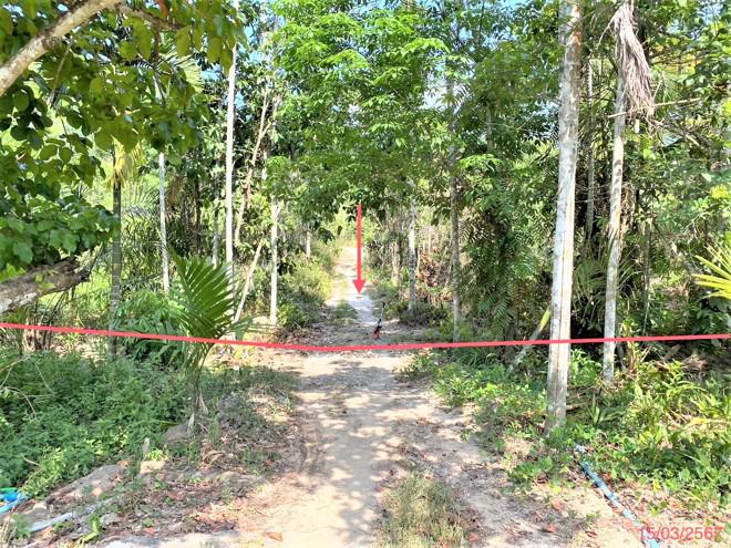 ที่ดินว่างเปล่าหลุดจำนอง ธ.ธนาคารกสิกรไทย สงขลา รัตภูมิ เขาพระ