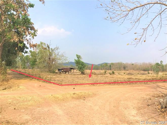 ที่ดินว่างเปล่าหลุดจำนอง ธ.ธนาคารกสิกรไทย พะเยา ภูกามยาว ดงเจน