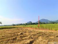 ที่ดินว่างเปล่าหลุดจำนอง ธ.ธนาคารกสิกรไทย สุโขทัย ทุ่งเสลี่ยม ทุ่งเสลี่ยม