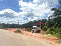 ที่ดินว่างเปล่าหลุดจำนอง ธ.ธนาคารกสิกรไทย ตรัง ปะเหลียน ทุ่งยาว