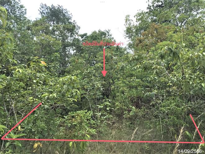 ที่ดินว่างเปล่าหลุดจำนอง ธ.ธนาคารกสิกรไทย สงขลา รัตภูมิ ควนรู