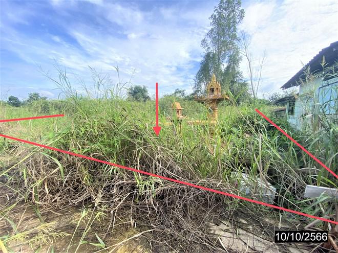 ที่ดินว่างเปล่าหลุดจำนอง ธ.ธนาคารกสิกรไทย นครสวรรค์ เมืองนครสวรรค์ บึงเสนาท