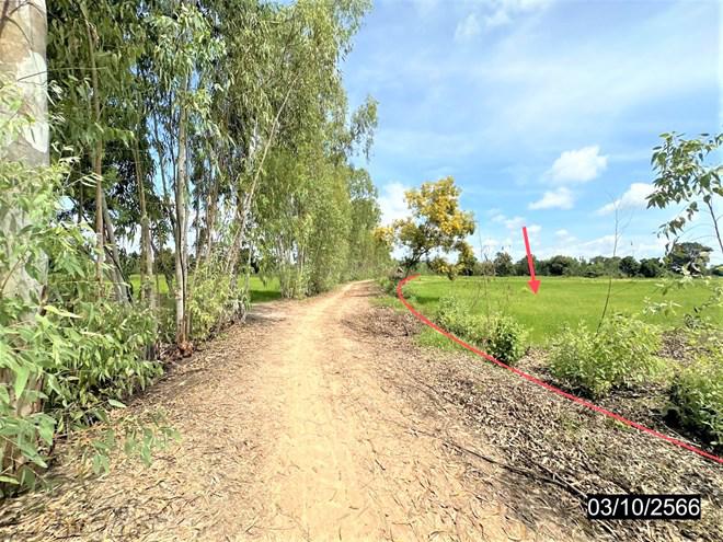 ที่ดินว่างเปล่าหลุดจำนอง ธ.ธนาคารกสิกรไทย มหาสารคาม นาดูน หนองไผ่