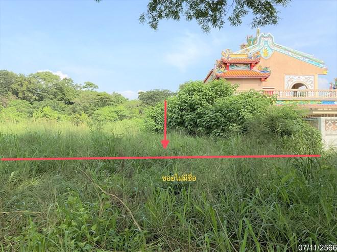 ที่ดินว่างเปล่าหลุดจำนอง ธ.ธนาคารกสิกรไทย กำแพงเพชร เมืองกำแพงเพชร หนองปลิง