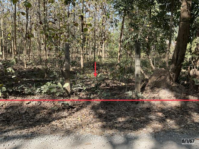 ที่ดินว่างเปล่าหลุดจำนอง ธ.ธนาคารกสิกรไทย ขอนแก่น ชุมแพ โนนสะอาด