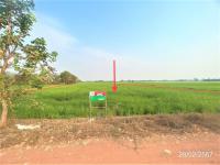 ที่ดินว่างเปล่าหลุดจำนอง ธ.ธนาคารกสิกรไทย พิษณุโลก วังทอง วังพิกุล