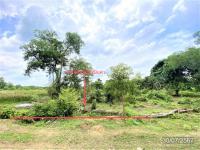 ที่ดินว่างเปล่าหลุดจำนอง ธ.ธนาคารกสิกรไทย สงขลา หาดใหญ่ ควนลัง