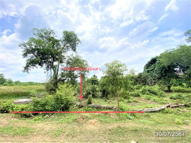 ที่ดินว่างเปล่าหลุดจำนอง ธ.ธนาคารกสิกรไทย สงขลา หาดใหญ่ ควนลัง