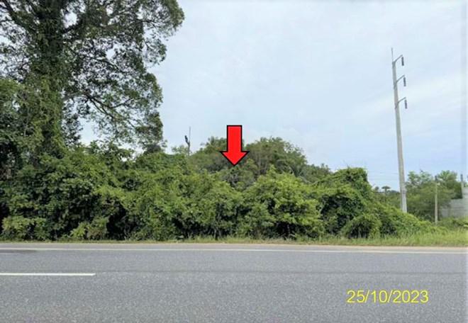 ที่ดินว่างเปล่าหลุดจำนอง ธ.ธนาคารกสิกรไทย ปัตตานี ปะนาเระ ดอน