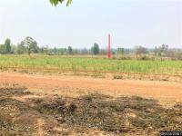 ที่ดินว่างเปล่าหลุดจำนอง ธ.ธนาคารกสิกรไทย หนองบัวลำภู ศรีบุญเรือง โนนสะอาด