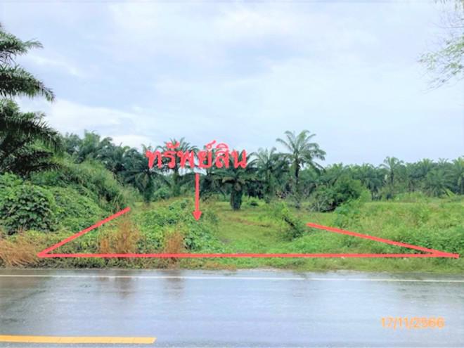 ที่ดินว่างเปล่าหลุดจำนอง ธ.ธนาคารกสิกรไทย สุราษฎร์ธานี ไชยา ป่าเว