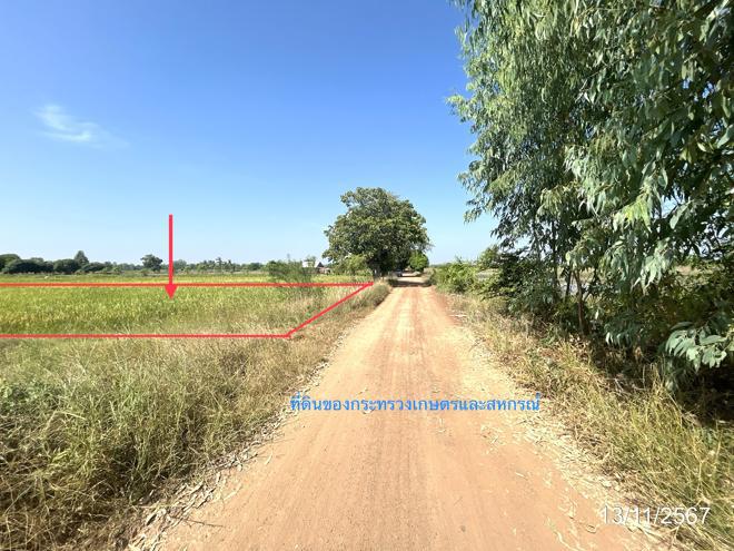 ที่ดินว่างเปล่าหลุดจำนอง ธ.ธนาคารกสิกรไทย พิษณุโลก พรหมพิราม มะตูม
