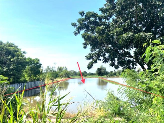 ที่ดินว่างเปล่าหลุดจำนอง ธ.ธนาคารกสิกรไทย พิษณุโลก พรหมพิราม มะตูม