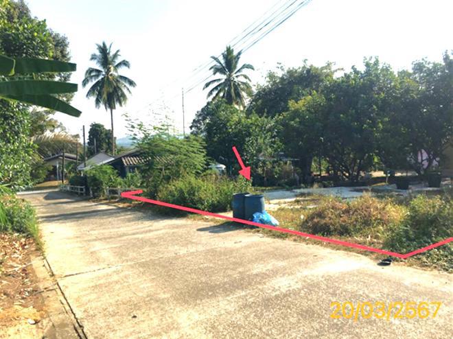 ที่ดินว่างเปล่าหลุดจำนอง ธ.ธนาคารกสิกรไทย พังงา ตะกั่วป่า บางนายสี