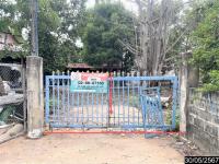 บ้านเดี่ยวหลุดจำนอง ธ.ธนาคารกสิกรไทย กาฬสินธุ์ ยางตลาด หนองตอกแป้น
