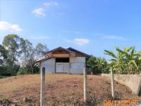 บ้านเดี่ยวหลุดจำนอง ธ.ธนาคารกสิกรไทย ชัยภูมิ ภูเขียว หนองตูม