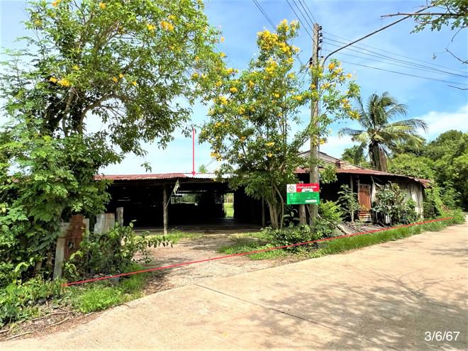 บ้านเดี่ยวหลุดจำนอง ธ.ธนาคารกสิกรไทย ชัยนาท หันคา บ้านเชี่ยน