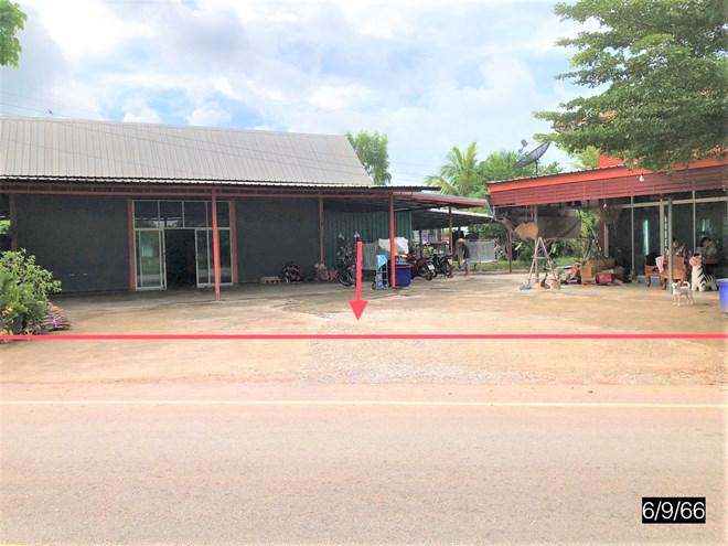 บ้านเดี่ยวหลุดจำนอง ธ.ธนาคารกสิกรไทย กาฬสินธุ์ ยางตลาด หนองตอกแป้น