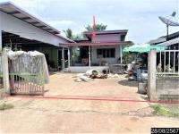 บ้านเดี่ยวหลุดจำนอง ธ.ธนาคารกสิกรไทย ชัยภูมิ แก้งคร้อ หลุบคา