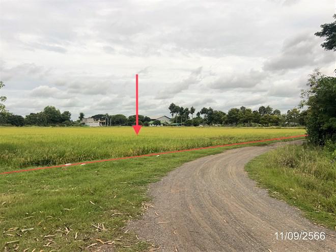 อาคารโรงงานหลุดจำนอง ธ.ธนาคารกสิกรไทย พิจิตร ตะพานหิน ห้วยเกตุ