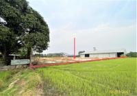 โรงสีหลุดจำนอง ธ.ธนาคารกสิกรไทย นครสวรรค์ ตาคลี พรหมนิมิต
