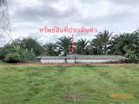 ฟาร์มหลุดจำนอง ธ.ธนาคารกสิกรไทย นครศรีธรรมราช เฉลิมพระเกียรติ ทางพูน