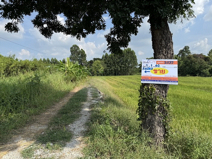 ที่ดินหลุดจำนอง ธ.ธนาคารกรุงเทพ   