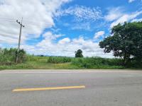 ที่ดินเปล่าหลุดจำนอง ธ.ธนาคารทหารไทยธนชาต เพชรบุรี ชะอำ ไร่ใหม่พัฒนา