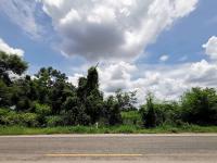 ที่ดินเปล่าหลุดจำนอง ธ.ธนาคารทหารไทยธนชาต ชัยภูมิ จัตุรัส บ้านกอก
