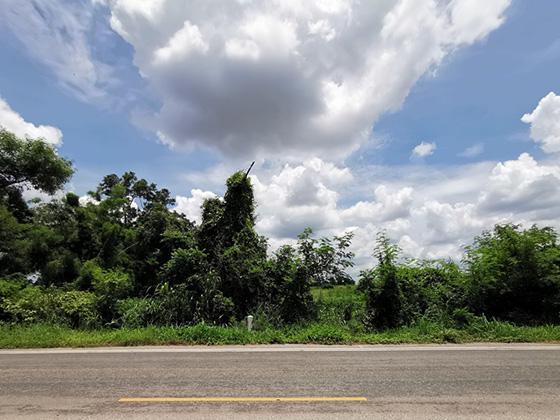ที่ดินเปล่าหลุดจำนอง ธ.ธนาคารทหารไทยธนชาต ชัยภูมิ จัตุรัส บ้านกอก