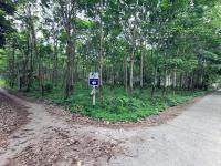 ที่ดินเปล่าหลุดจำนอง ธ.ธนาคารทหารไทยธนชาต กระบี่ เกาะลันตา เกาะลันตาใหญ่